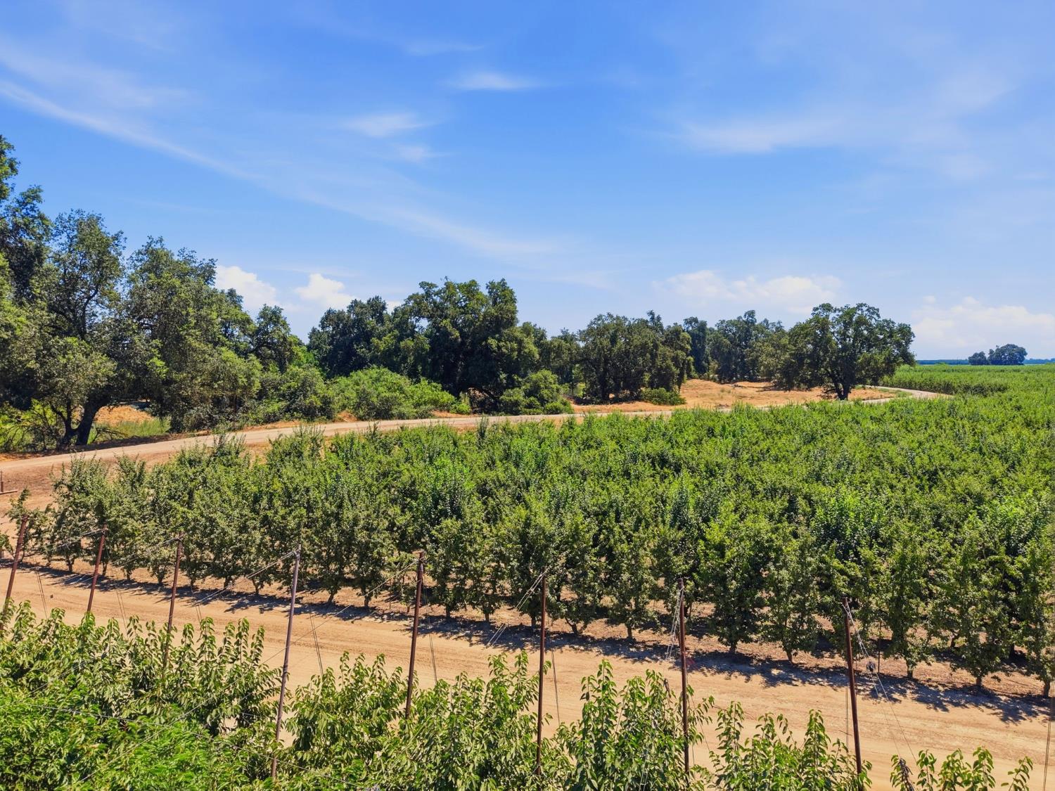 21530 Tiburico Ave, Laton, CA 93242