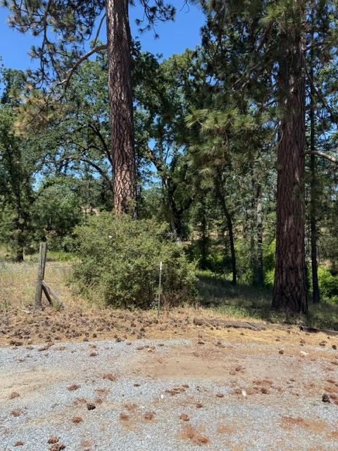 3764 Black Oak River Road, Oakhurst, CA 93644