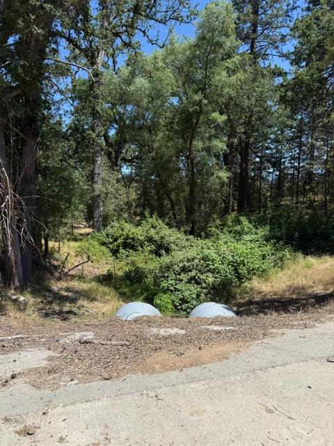 3764 Black Oak River Road, Oakhurst, CA 93644