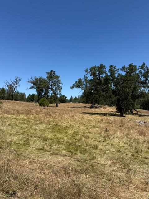 3764 Black Oak River Road, Oakhurst, CA 93644