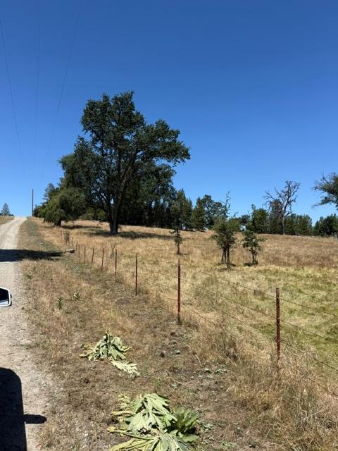 3764 Black Oak River Road, Oakhurst, CA 93644