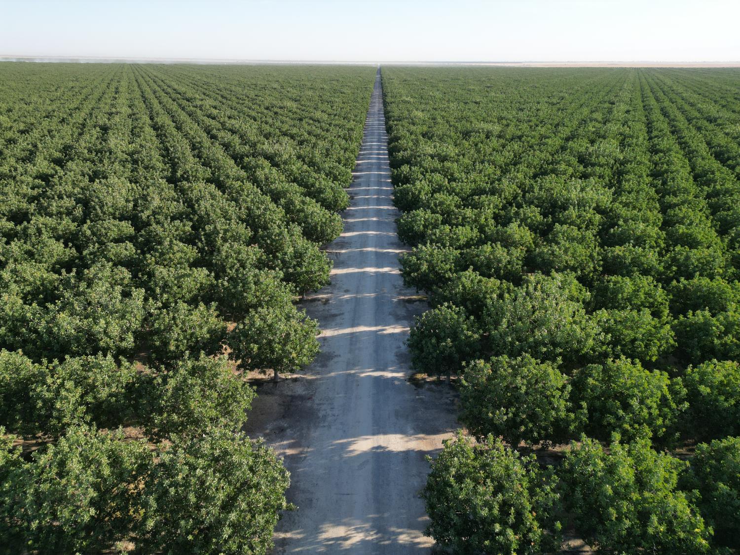 0 00 Avenue 16, Delano, CA 93215