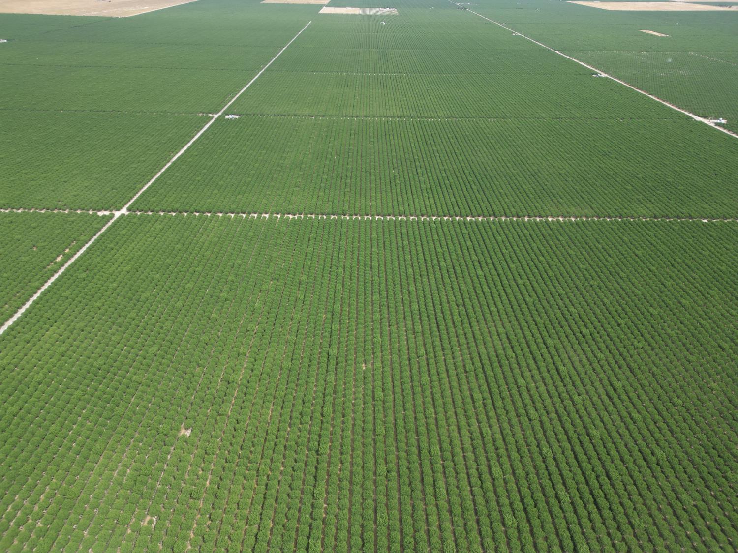 0 00 Avenue 16, Delano, CA 93215