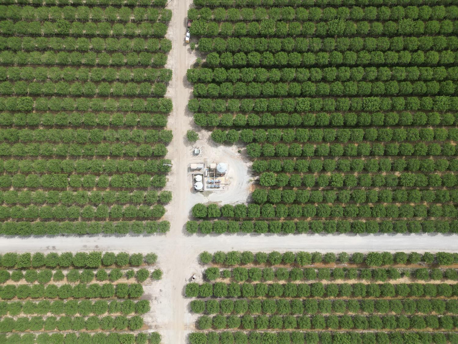 0 00 Avenue 16, Delano, CA 93215