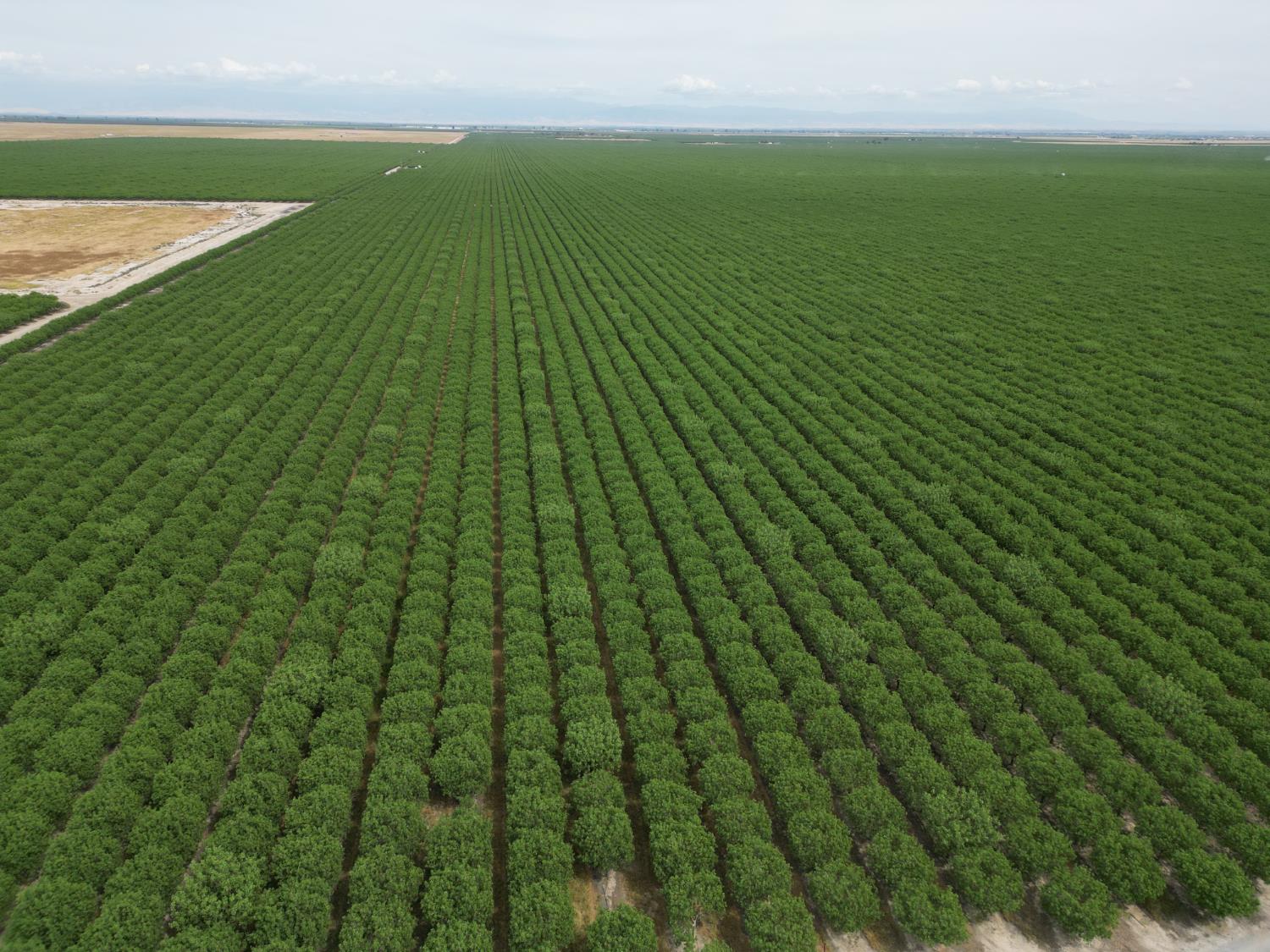 0 00 Avenue 16, Delano, CA 93215