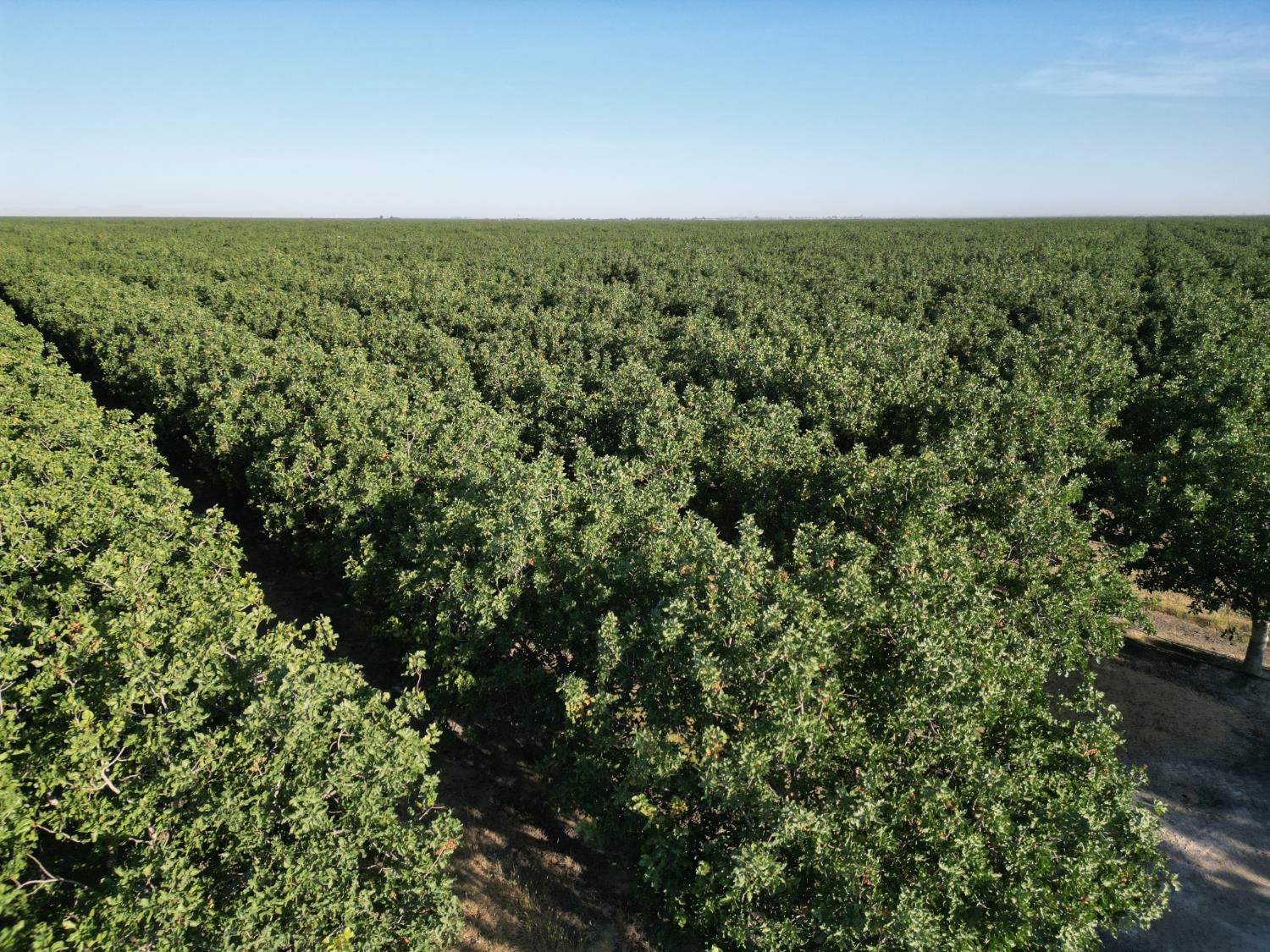 0 00 Avenue 16, Delano, CA 93215