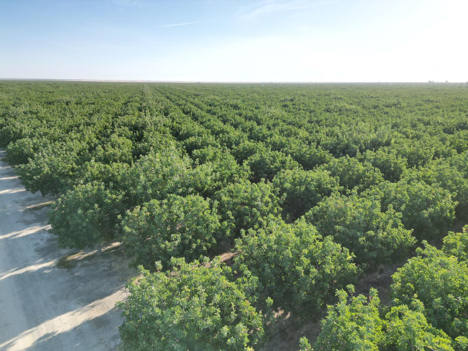 0 00 Avenue 16, Delano, CA 93215