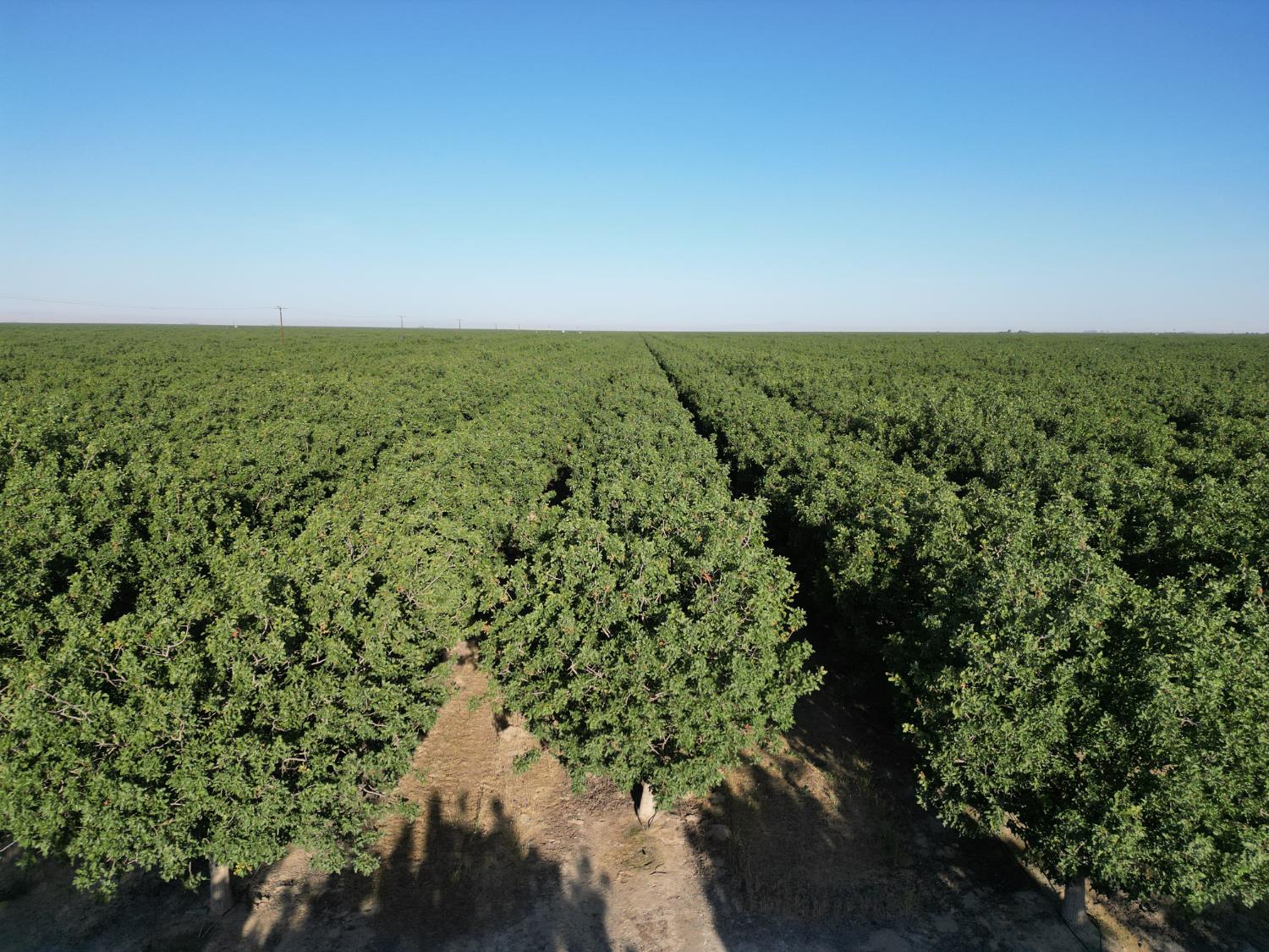 0 00 Avenue 16, Delano, CA 93215