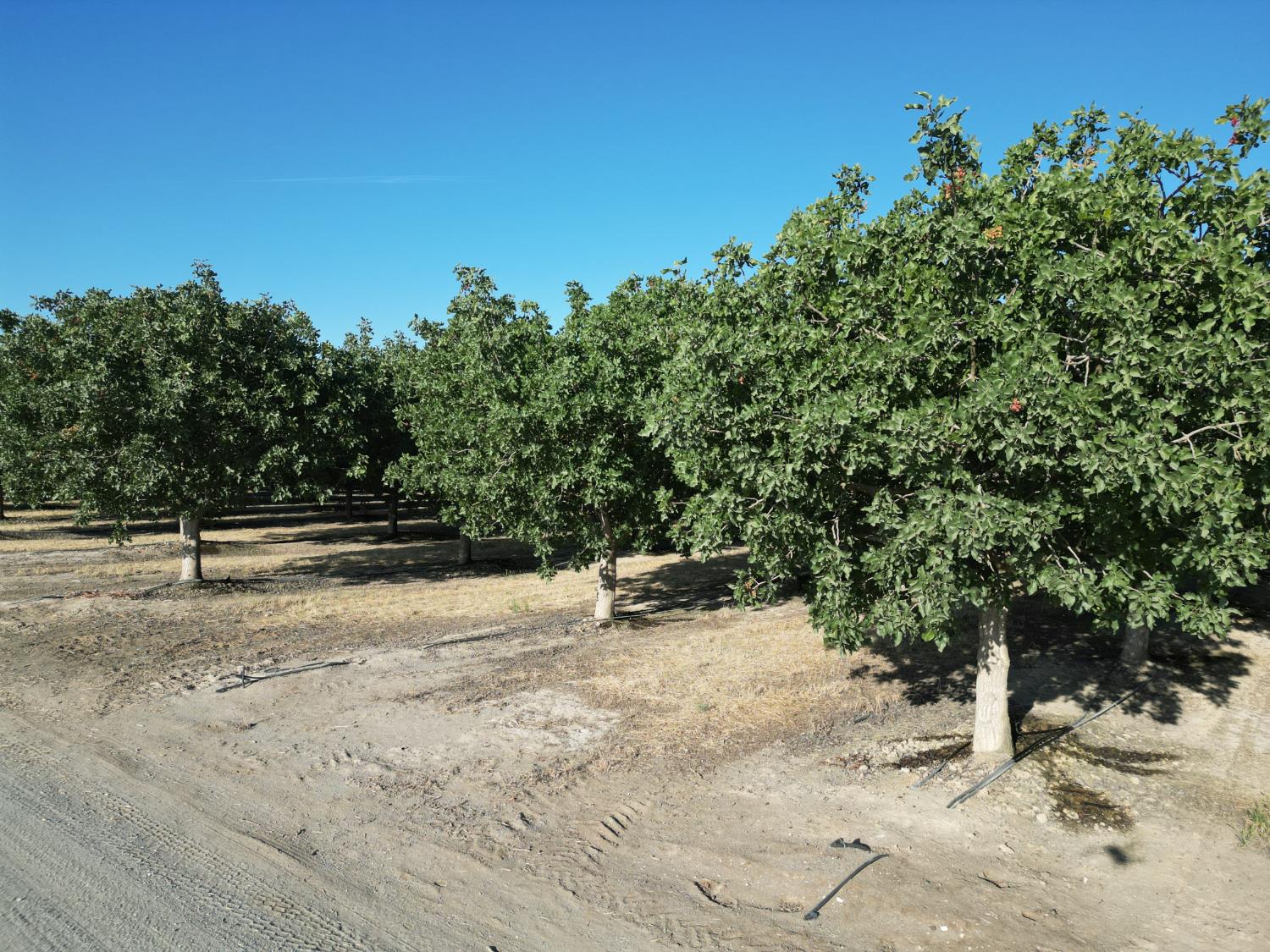 0 00 Avenue 16, Delano, CA 93215