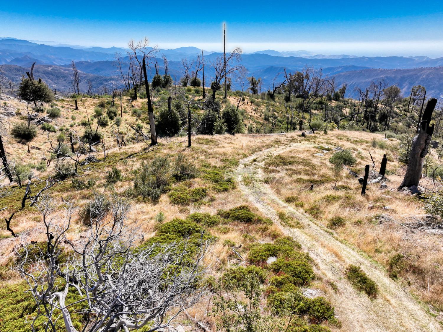 11111 Lower Cressman Rd, Shaver Lake, CA 93664