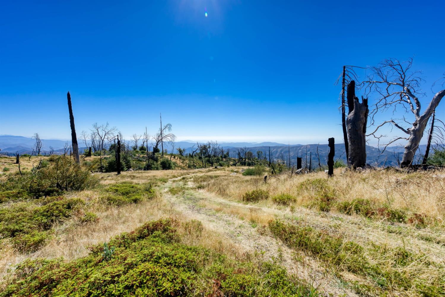 11111 Lower Cressman Rd, Shaver Lake, CA 93664