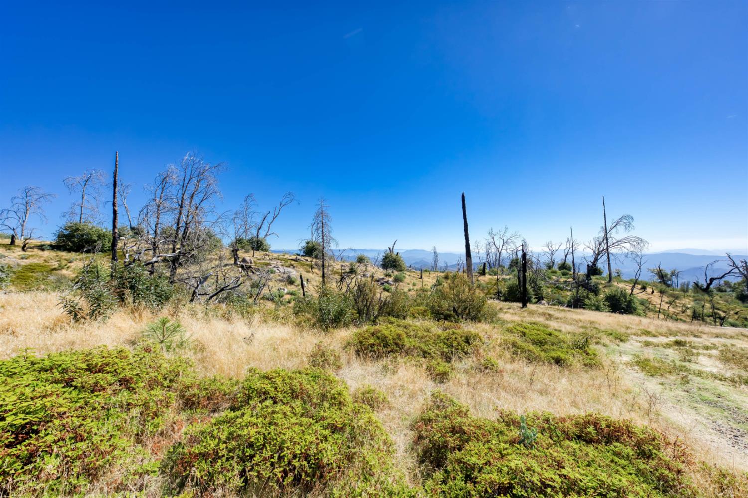 11111 Lower Cressman Rd, Shaver Lake, CA 93664