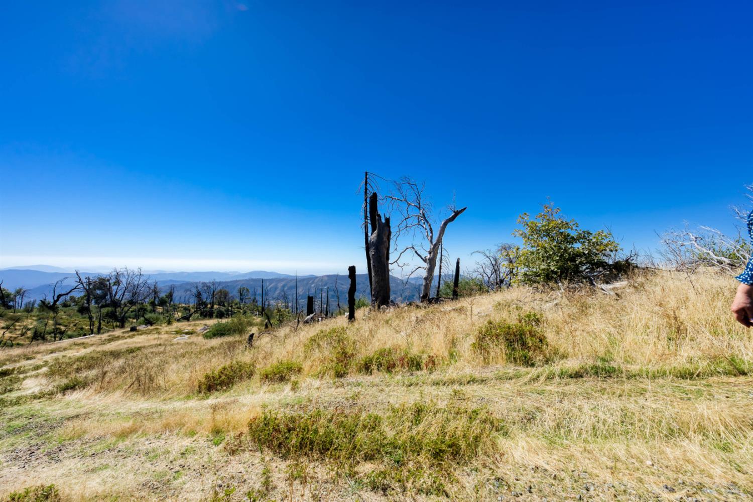 11111 Lower Cressman Rd, Shaver Lake, CA 93664