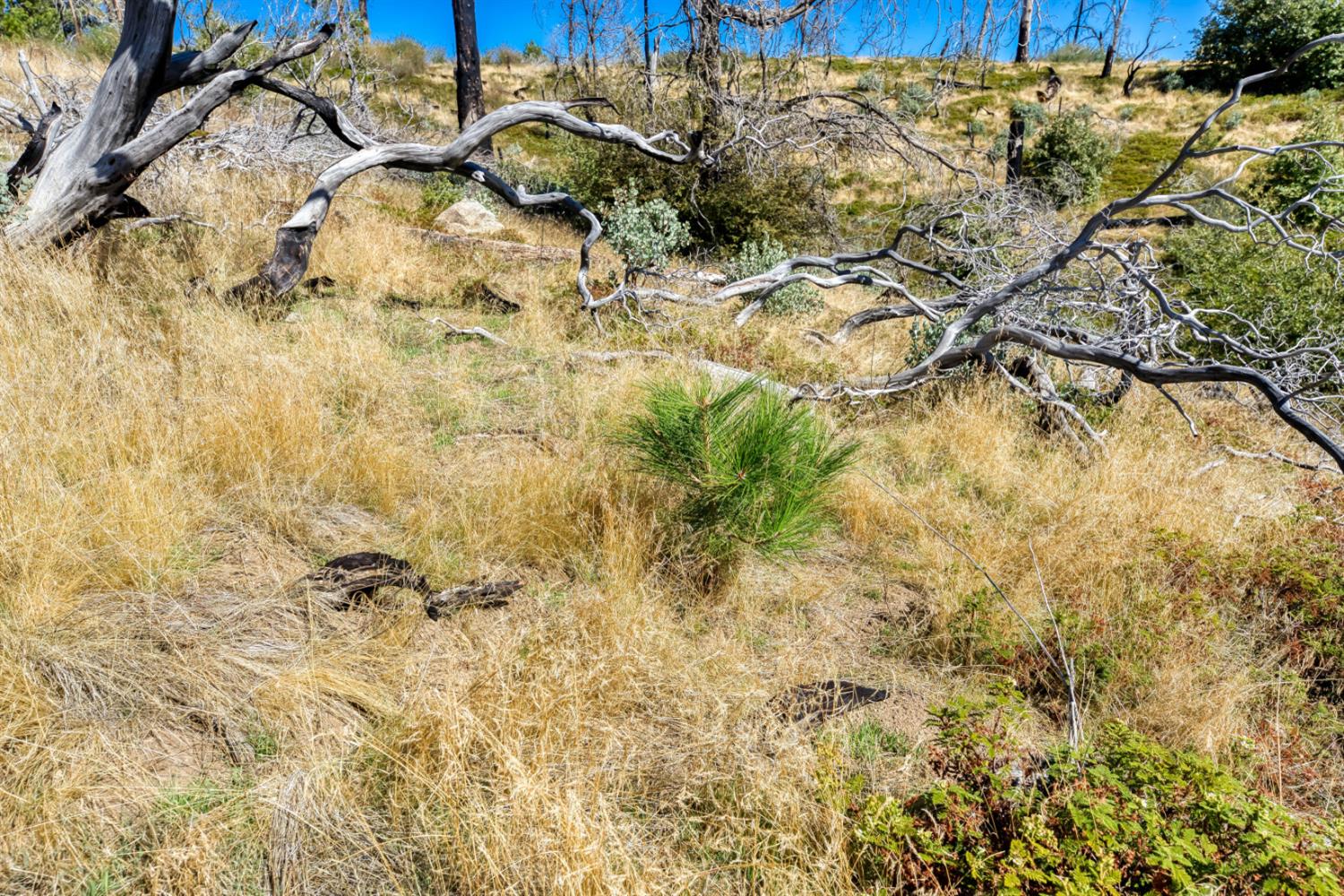 11111 Lower Cressman Rd, Shaver Lake, CA 93664