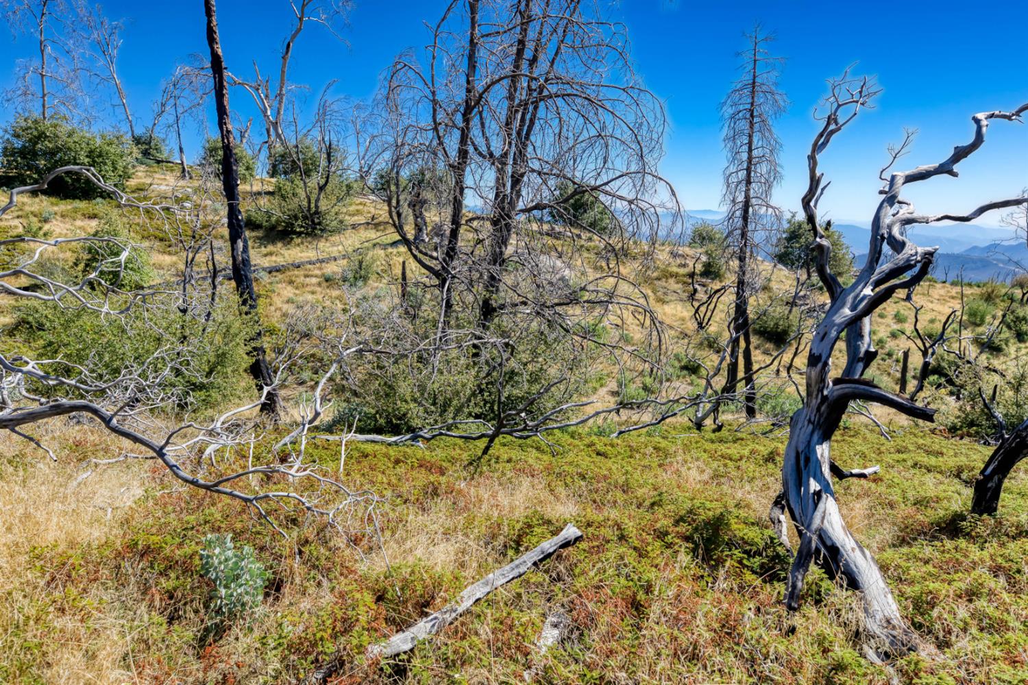 11111 Lower Cressman Rd, Shaver Lake, CA 93664