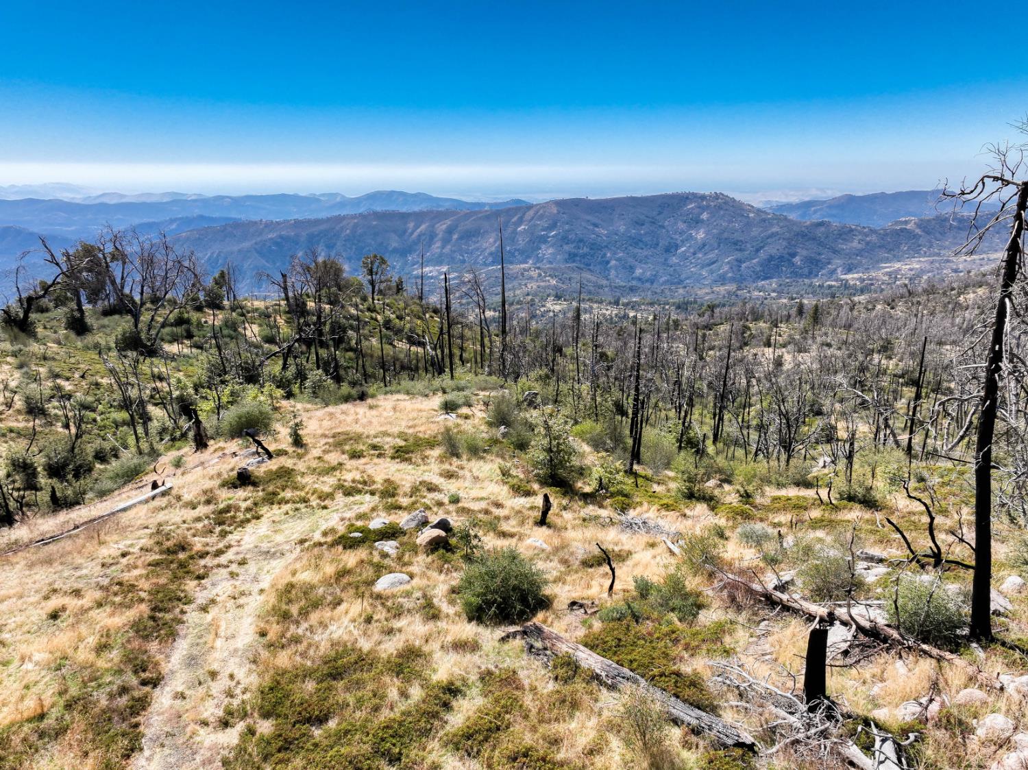 11111 Lower Cressman Rd, Shaver Lake, CA 93664