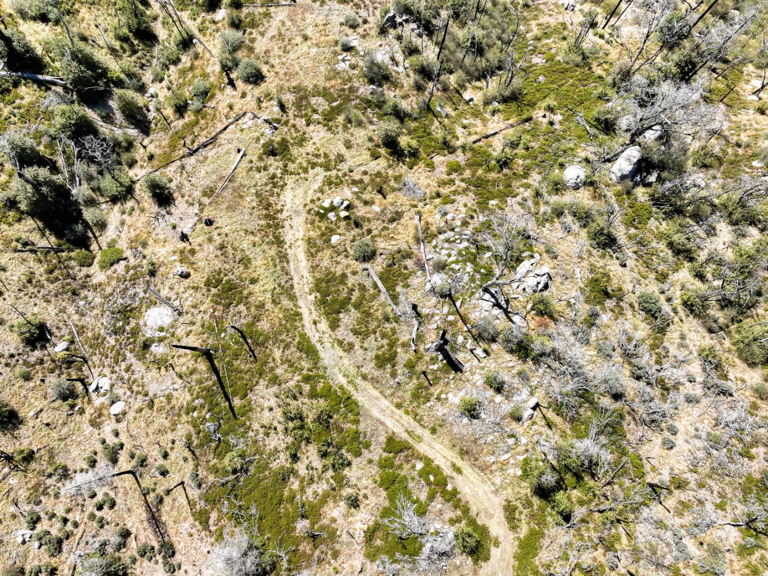 11111 Lower Cressman Rd, Shaver Lake, CA 93664