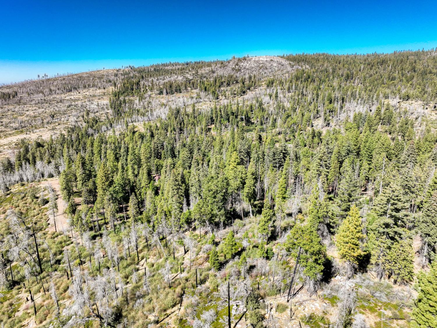 11111 Lower Cressman Rd, Shaver Lake, CA 93664