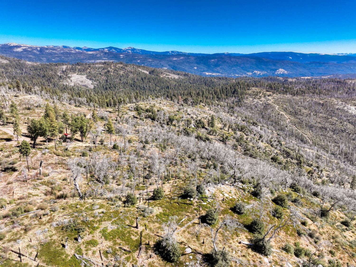11111 Lower Cressman Rd, Shaver Lake, CA 93664