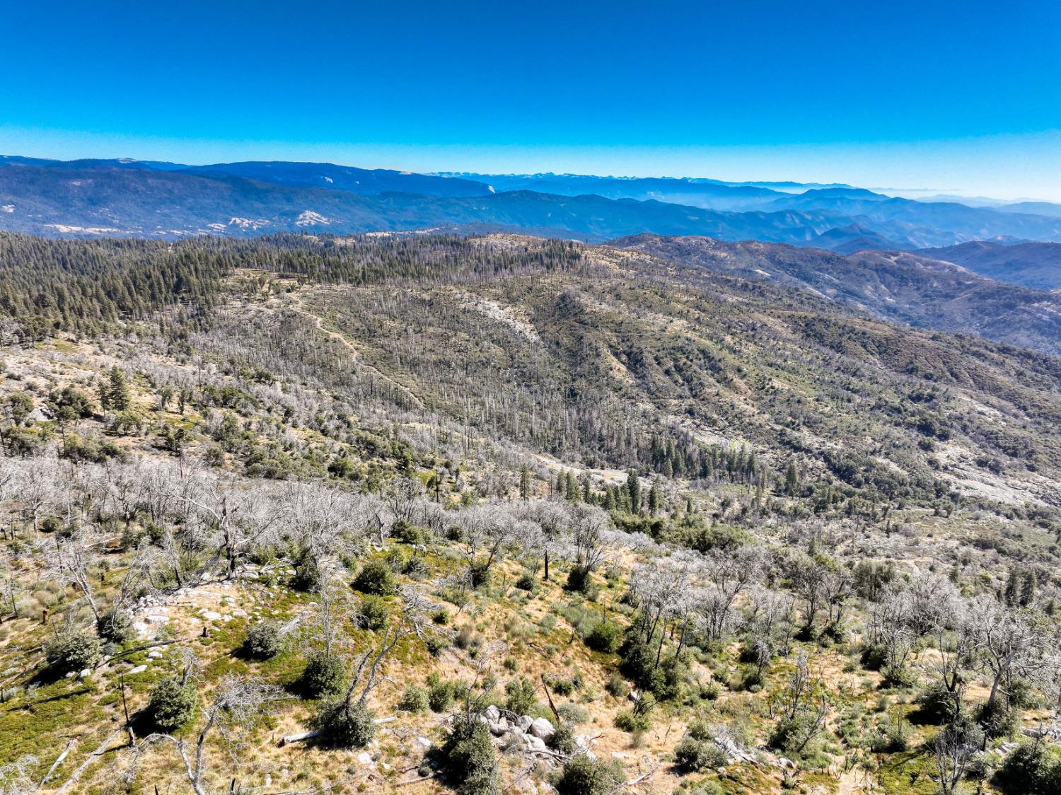 11111 Lower Cressman Rd, Shaver Lake, CA 93664