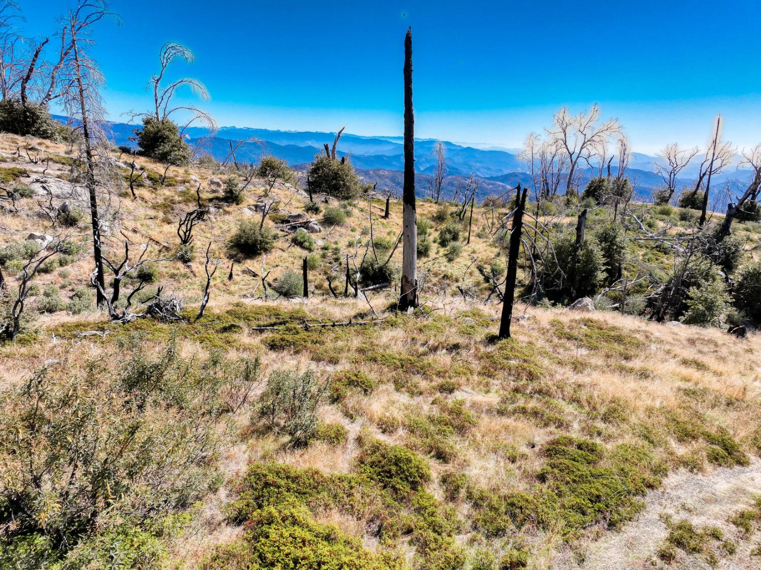 11111 Lower Cressman Rd, Shaver Lake, CA 93664