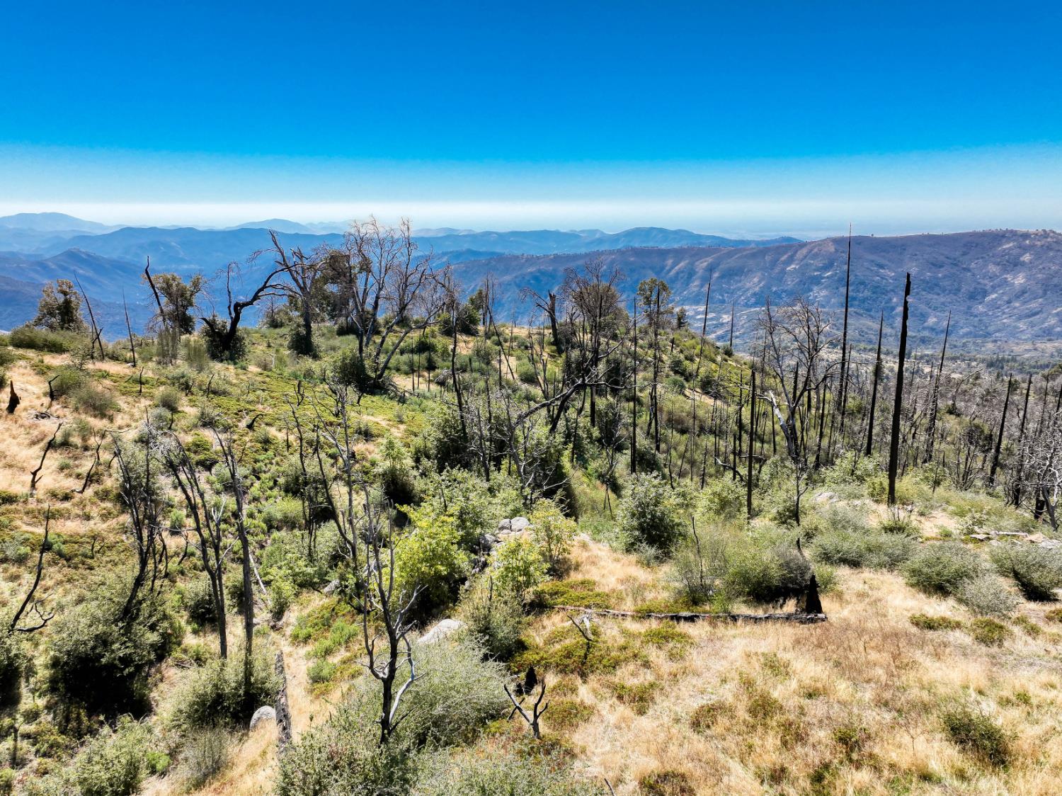 11111 Lower Cressman Rd, Shaver Lake, CA 93664