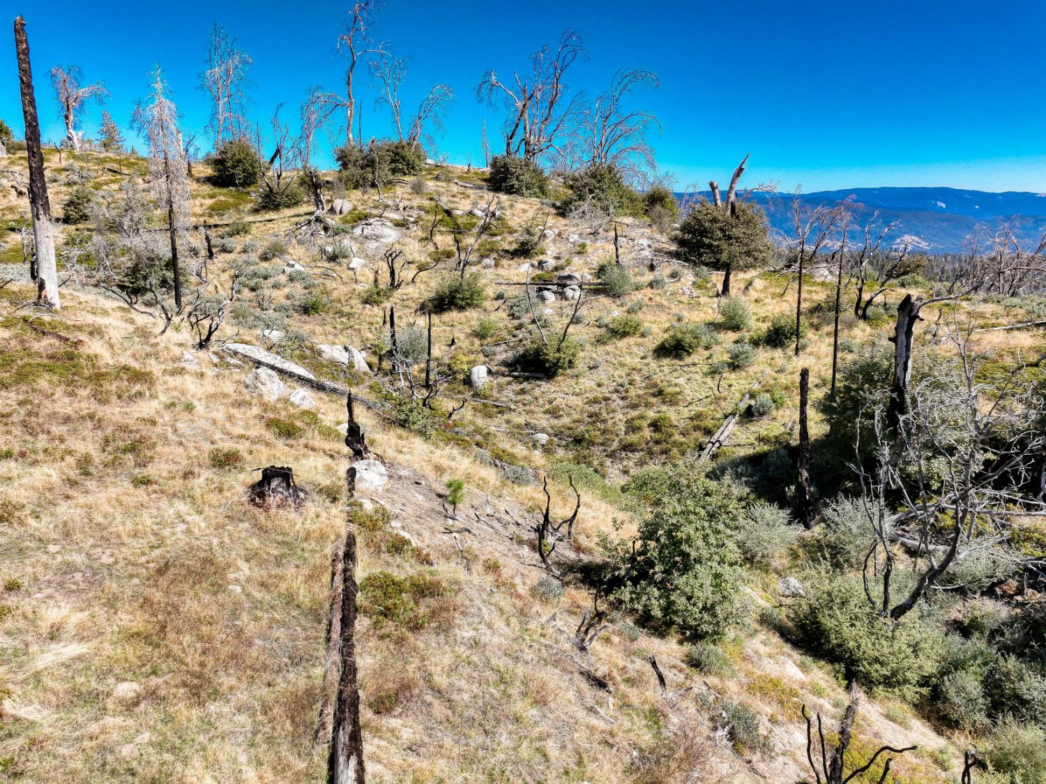 11111 Lower Cressman Rd, Shaver Lake, CA 93664