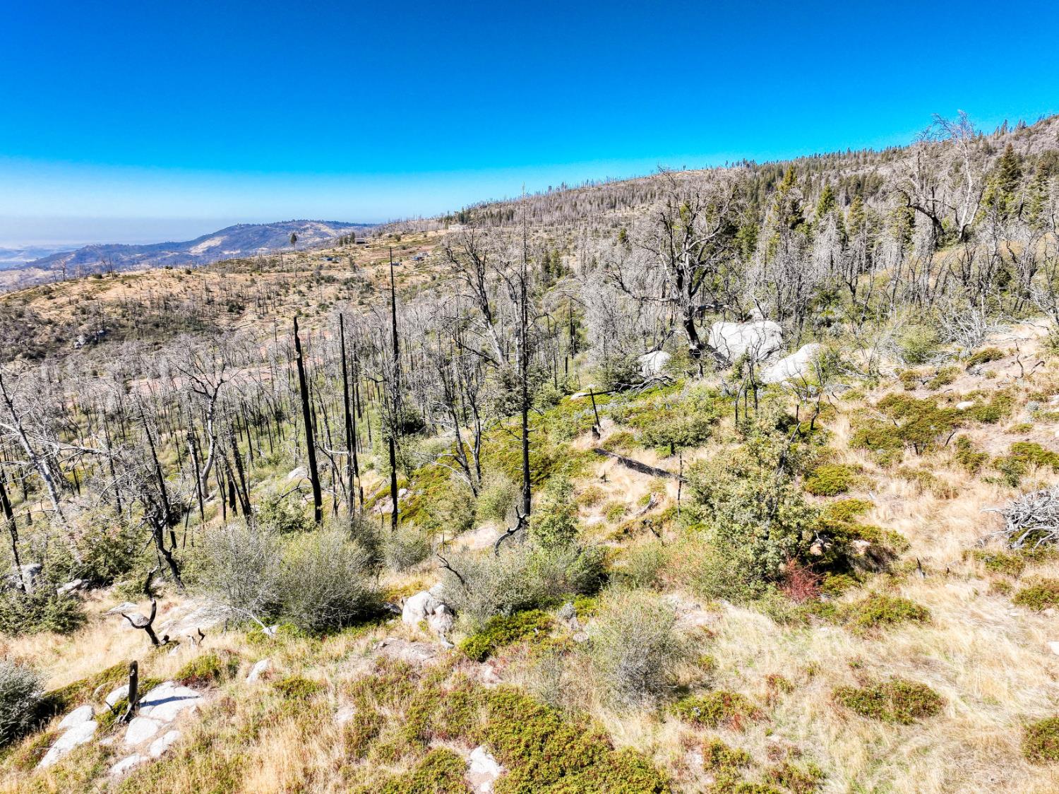 11111 Lower Cressman Rd, Shaver Lake, CA 93664