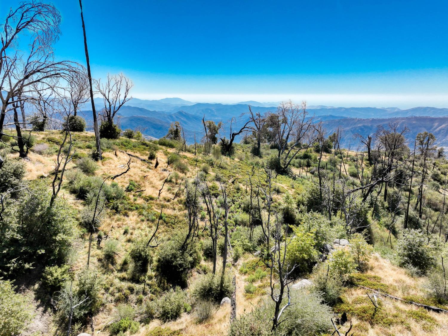 11111 Lower Cressman Rd, Shaver Lake, CA 93664