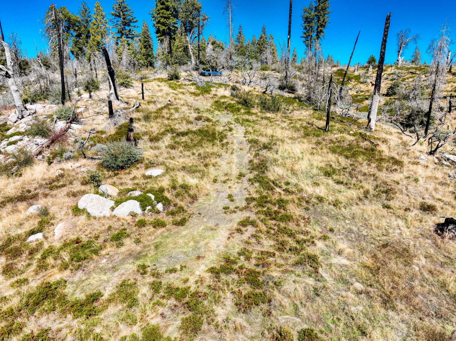 11111 Lower Cressman Rd, Shaver Lake, CA 93664