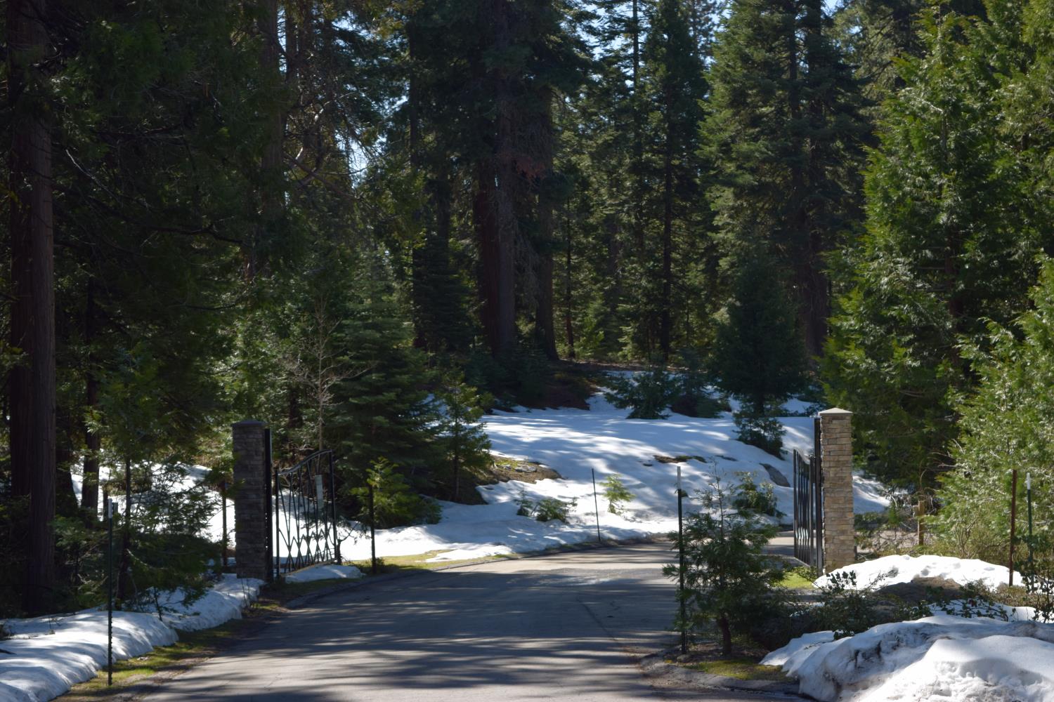 42368 Cook Cabin Ln, Shaver Lake, CA 93664