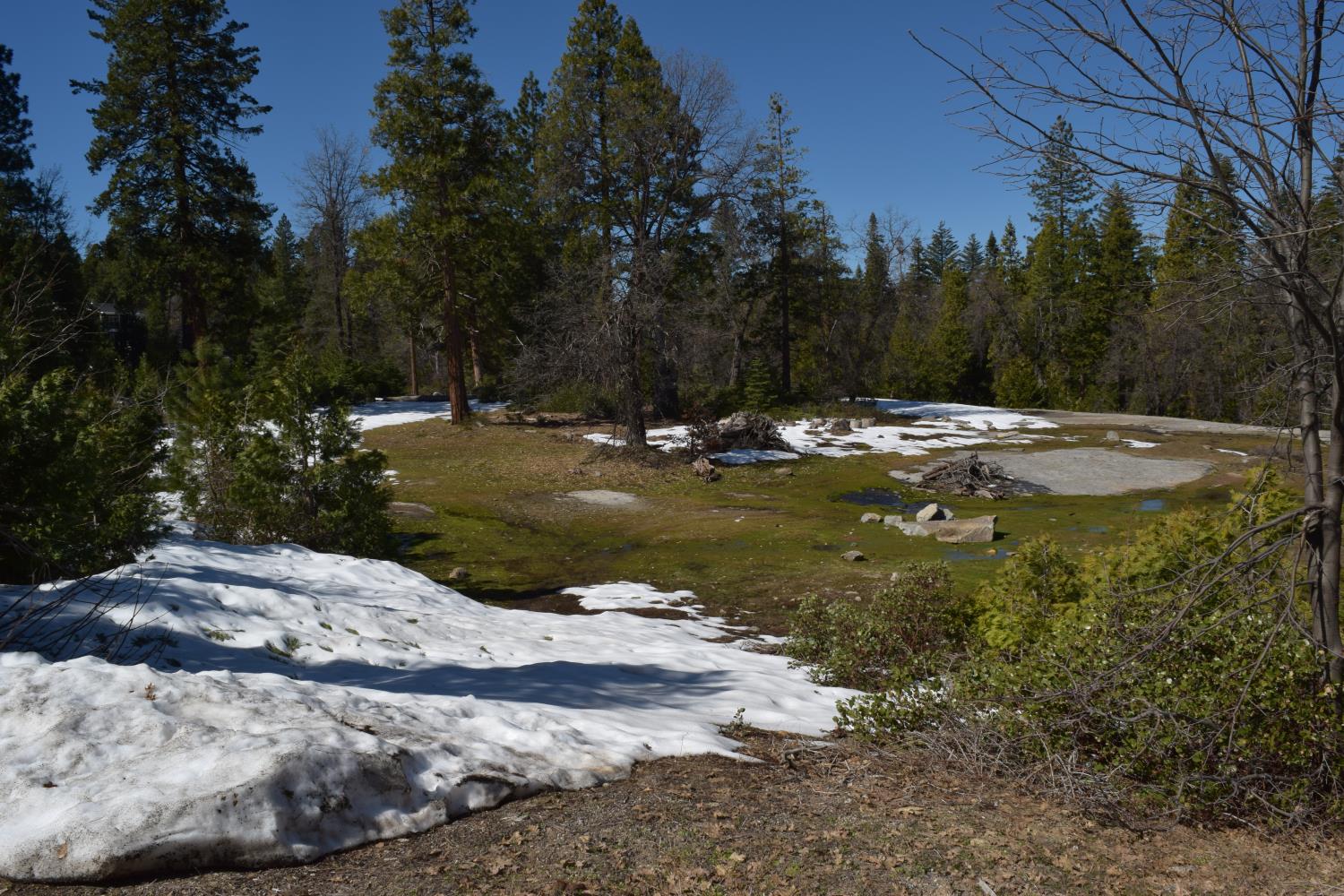 42368 Cook Cabin Ln, Shaver Lake, CA 93664
