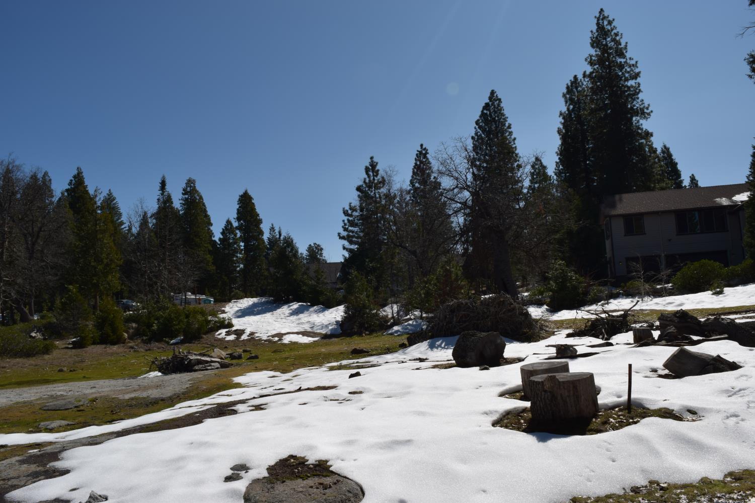 42368 Cook Cabin Ln, Shaver Lake, CA 93664