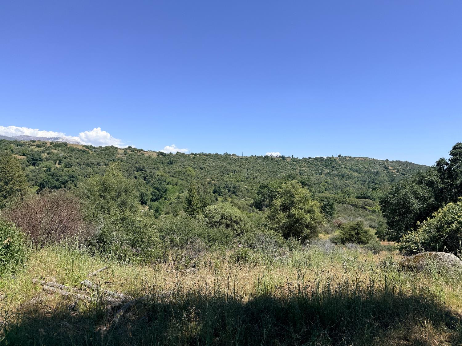 1 Highway 245, Badger, CA 93603