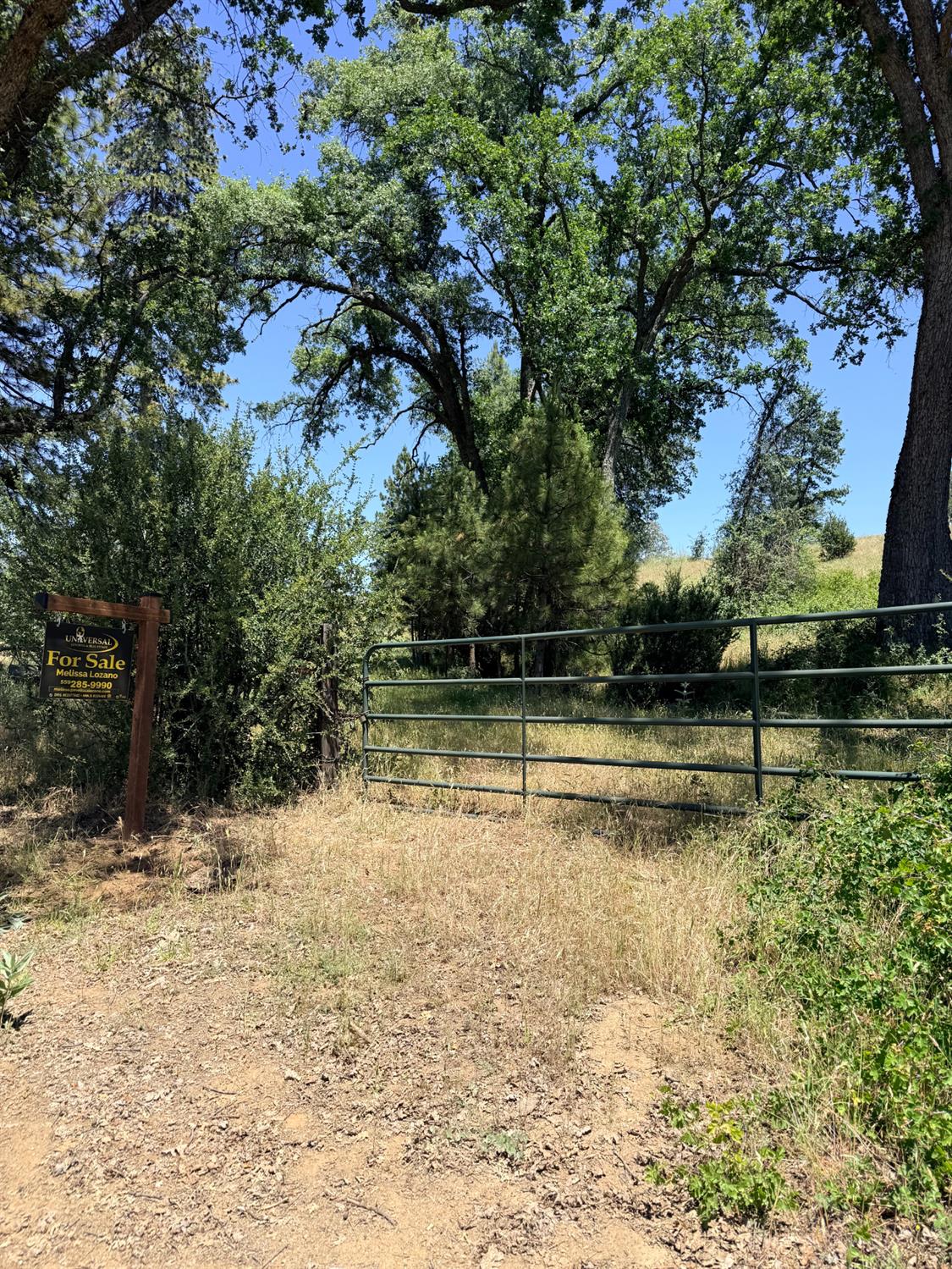 1 Highway 245, Badger, CA 93603