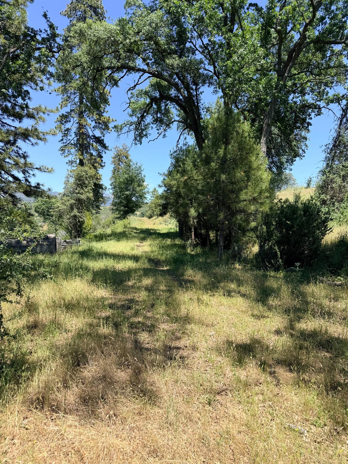1 Highway 245, Badger, CA 93603