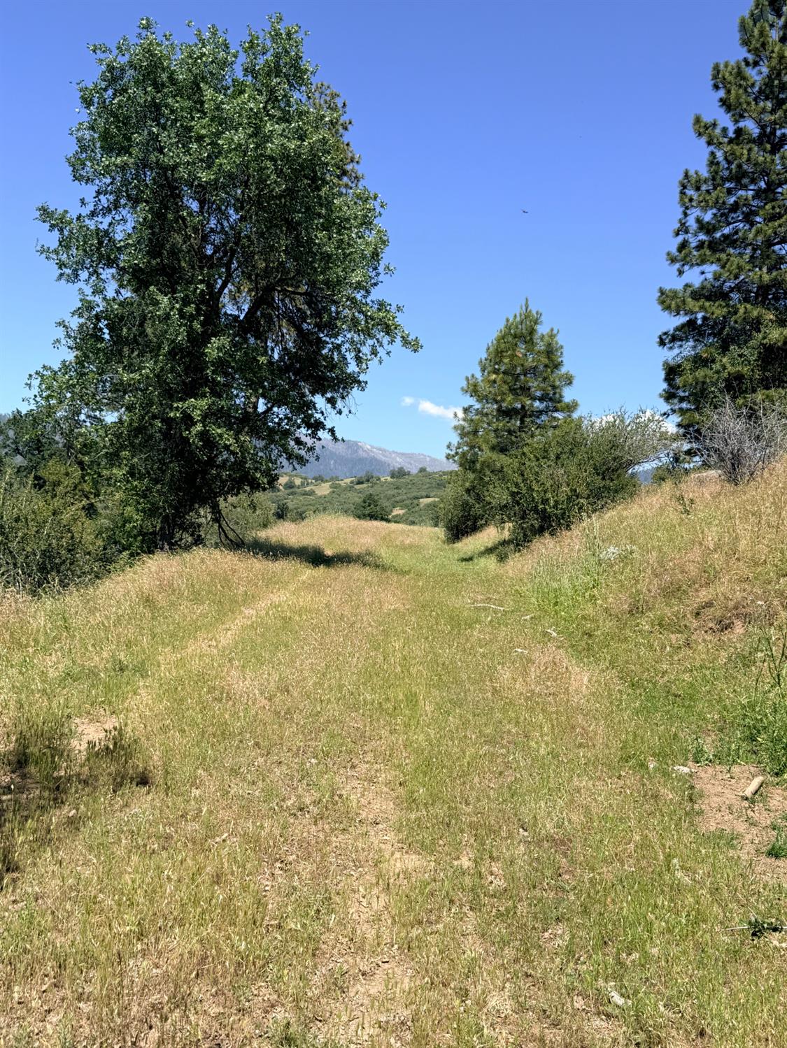 1 Highway 245, Badger, CA 93603