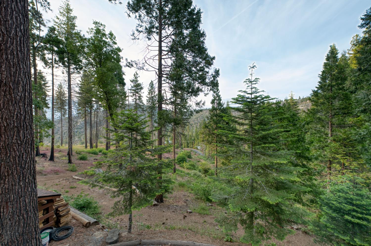 39873 Little Shuteye Ln, Shaver Lake, CA 93664