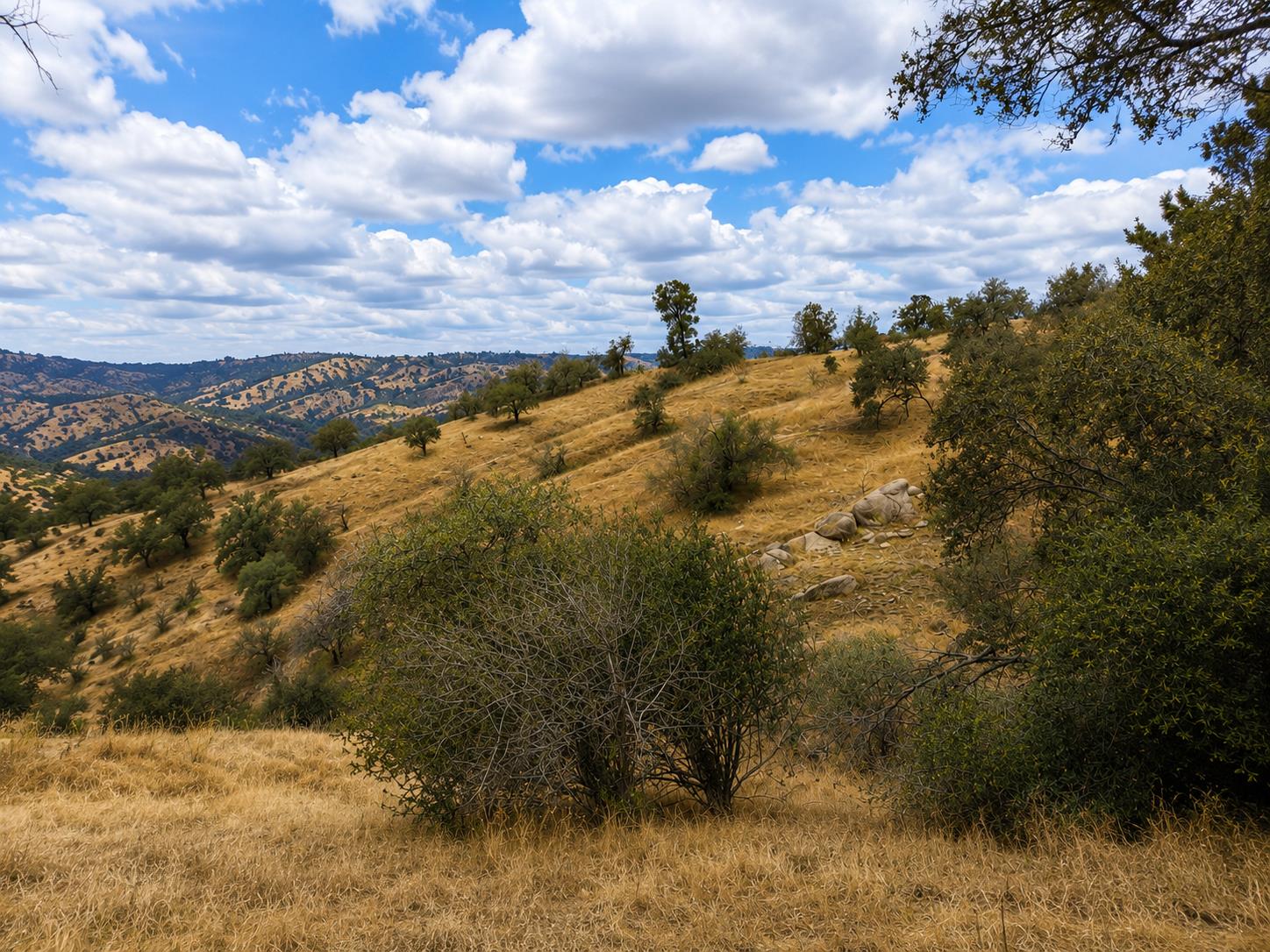1 Lilley Mountain Ct, Coarsegold, CA 93614