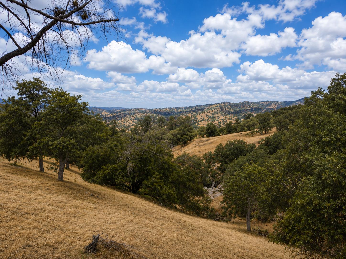 1 Lilley Mountain Ct, Coarsegold, CA 93614