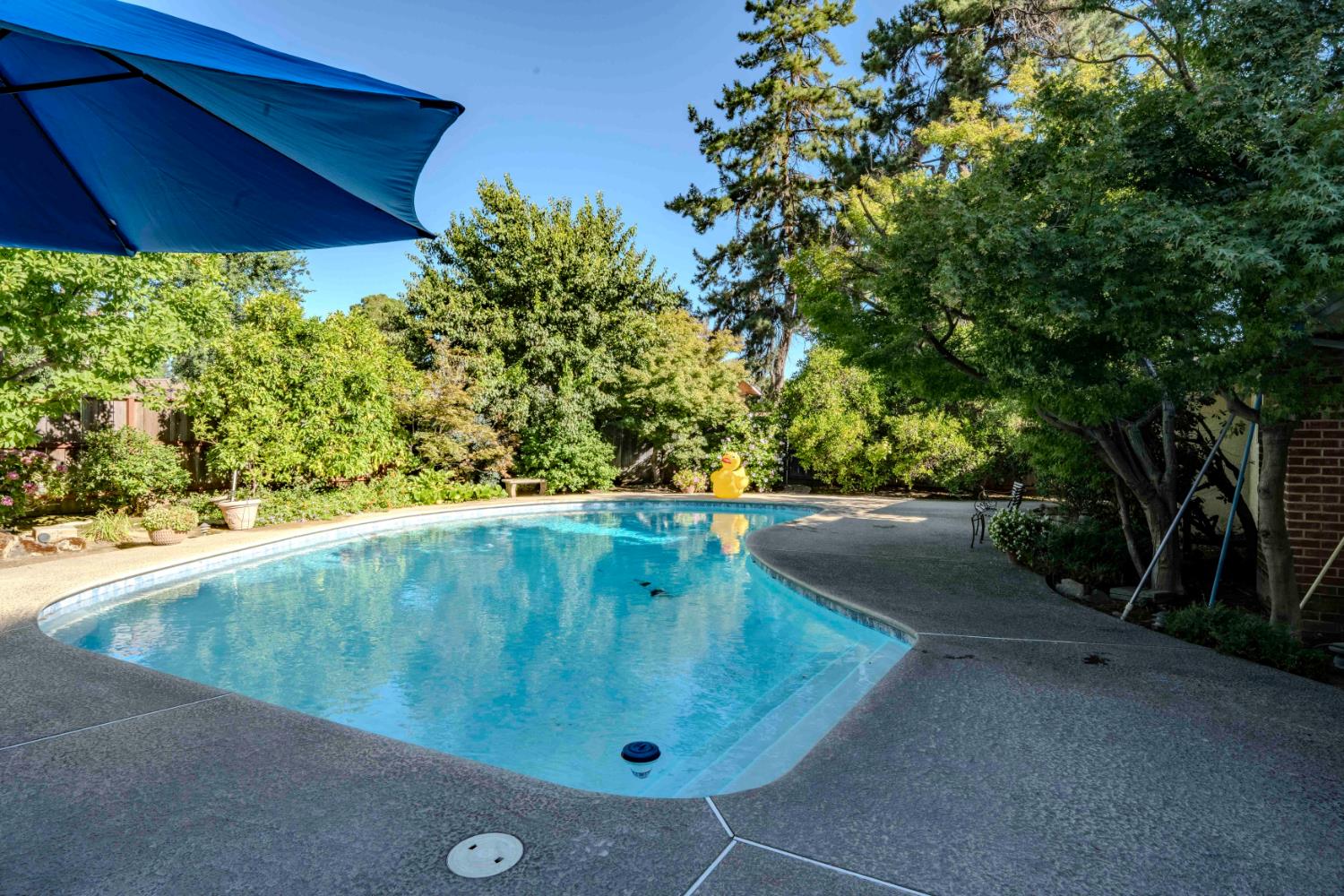 6343 N Teilman Ave, Fresno, CA 93711