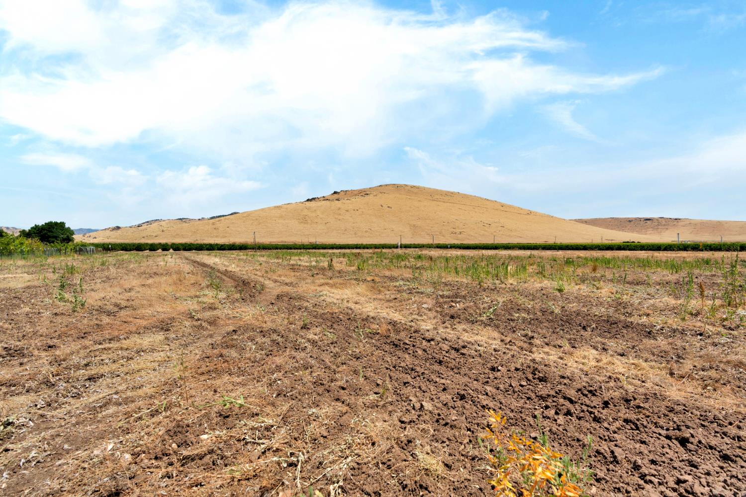 40921 Road 150, Orosi, CA 93647