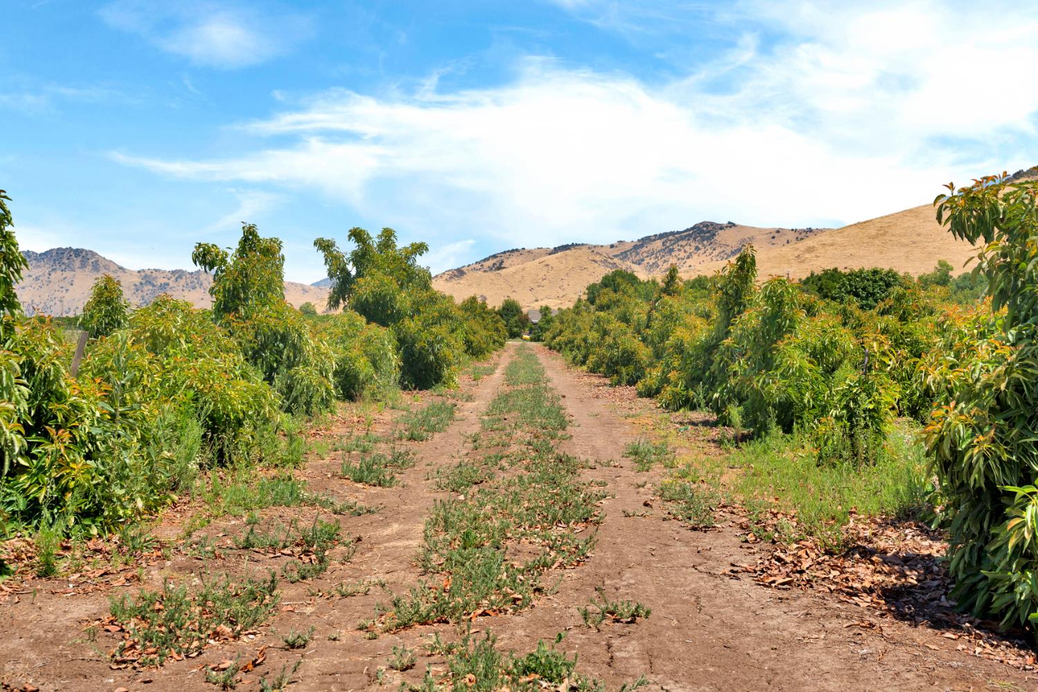 40921 Road 150, Orosi, CA 93647