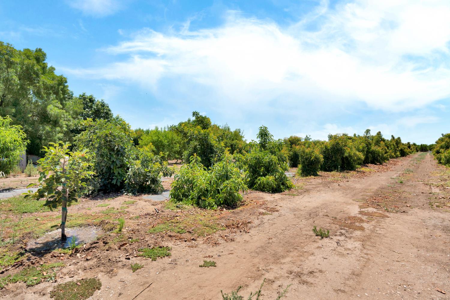 40921 Road 150, Orosi, CA 93647