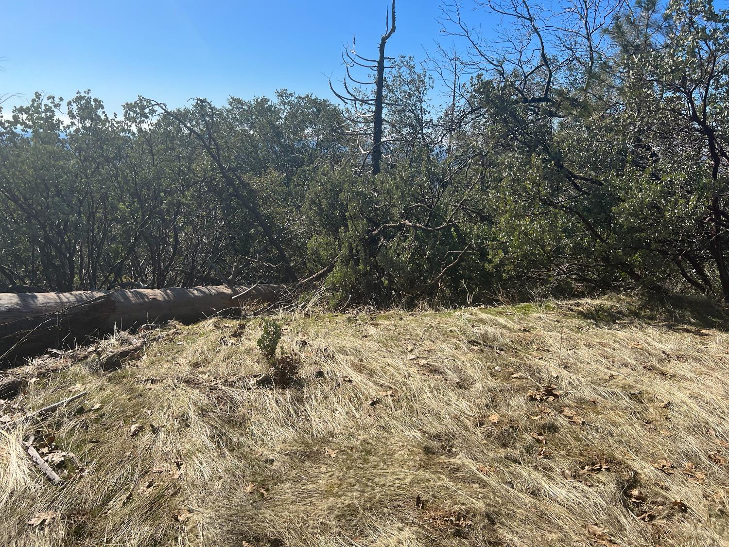6225 Old Mill Rd, Mariposa, CA 95338