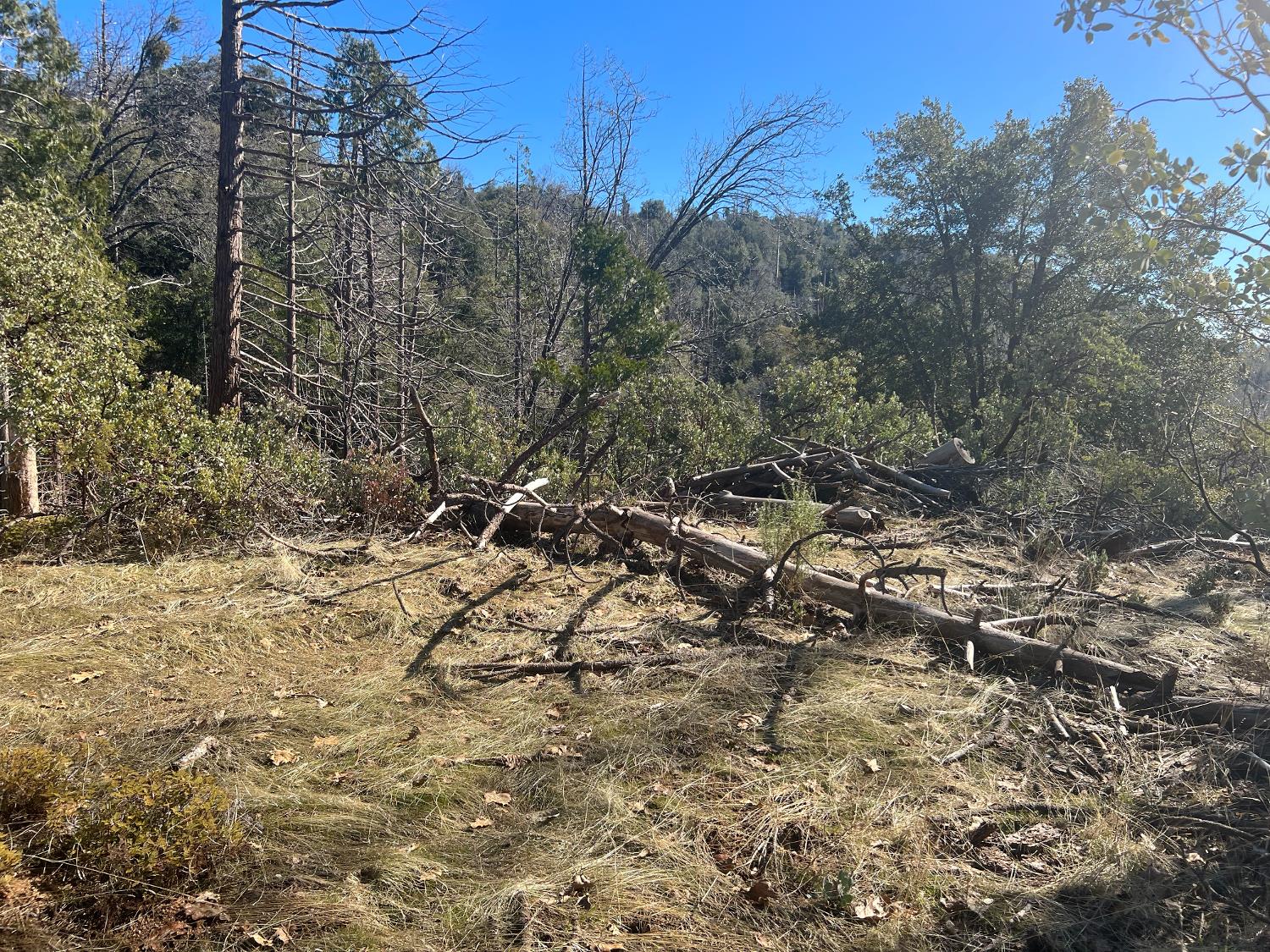 6225 Old Mill Rd, Mariposa, CA 95338