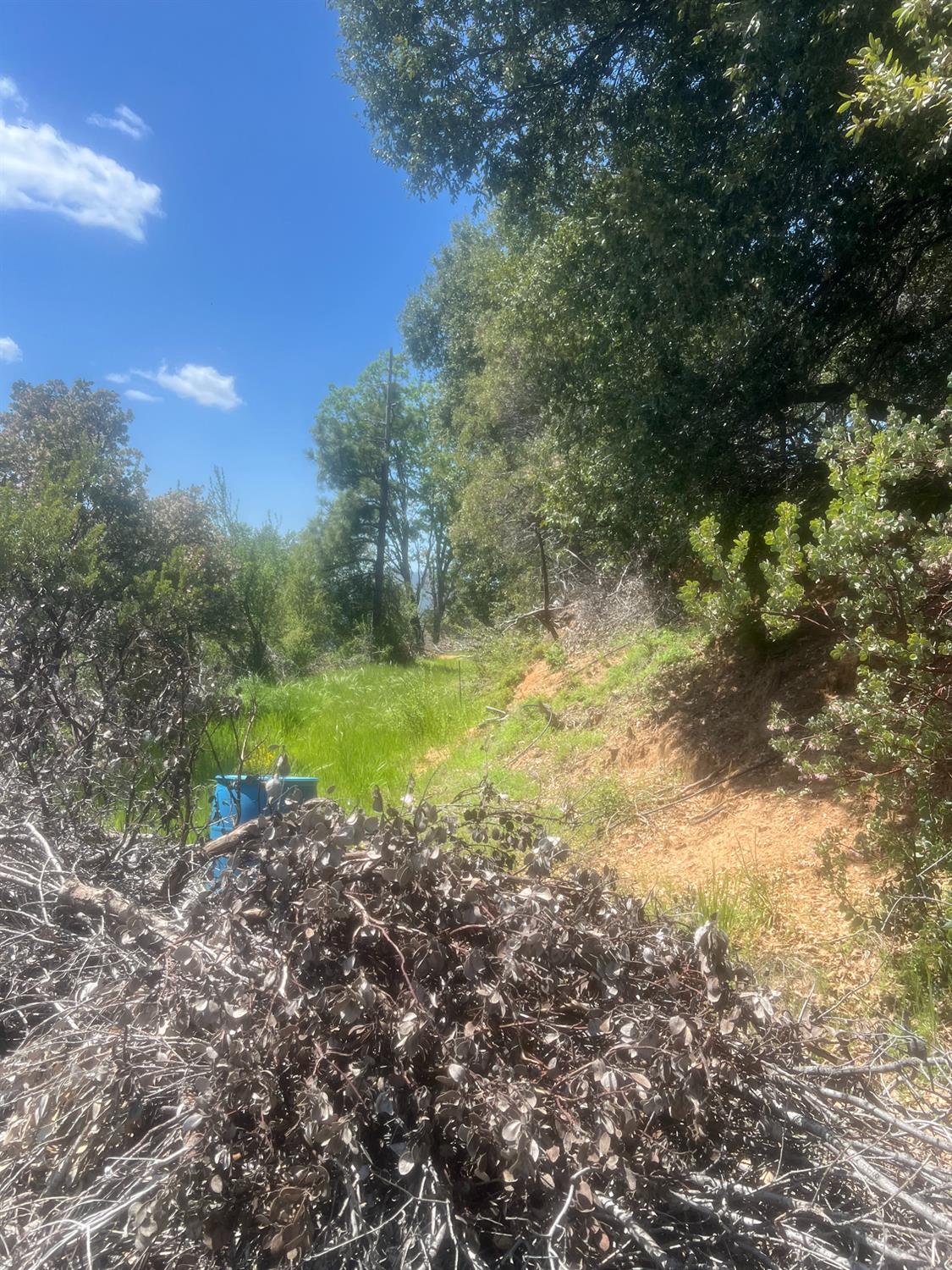 6225 Old Mill Rd, Mariposa, CA 95338