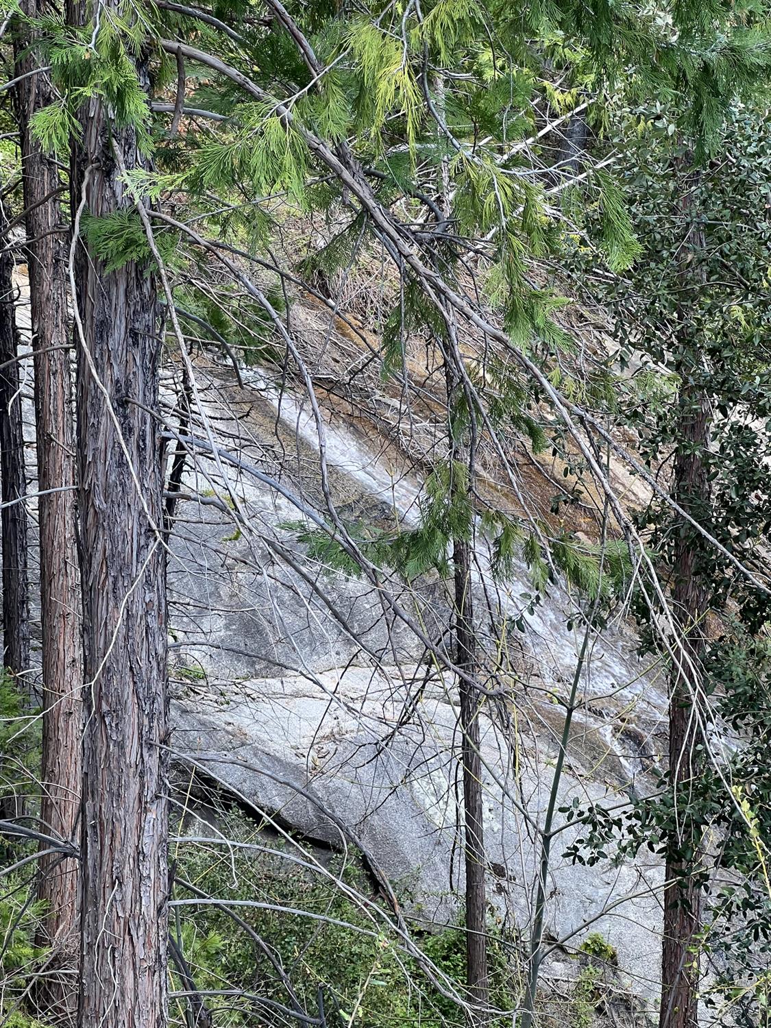 6225 Old Mill Rd, Mariposa, CA 95338