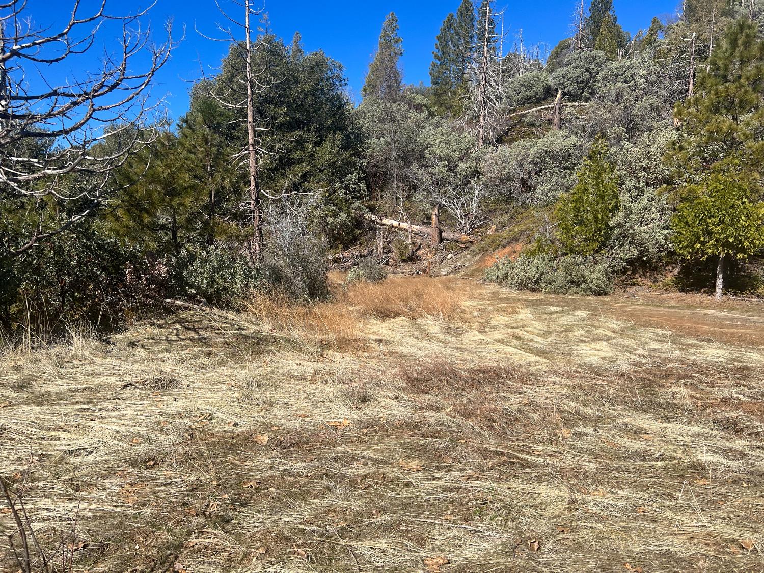 6225 Old Mill Rd, Mariposa, CA 95338