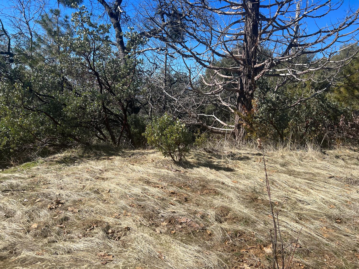 6225 Old Mill Rd, Mariposa, CA 95338